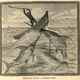 Illustration for article titled This gruesome 1889 biology book outlined the many ways animals will kill us